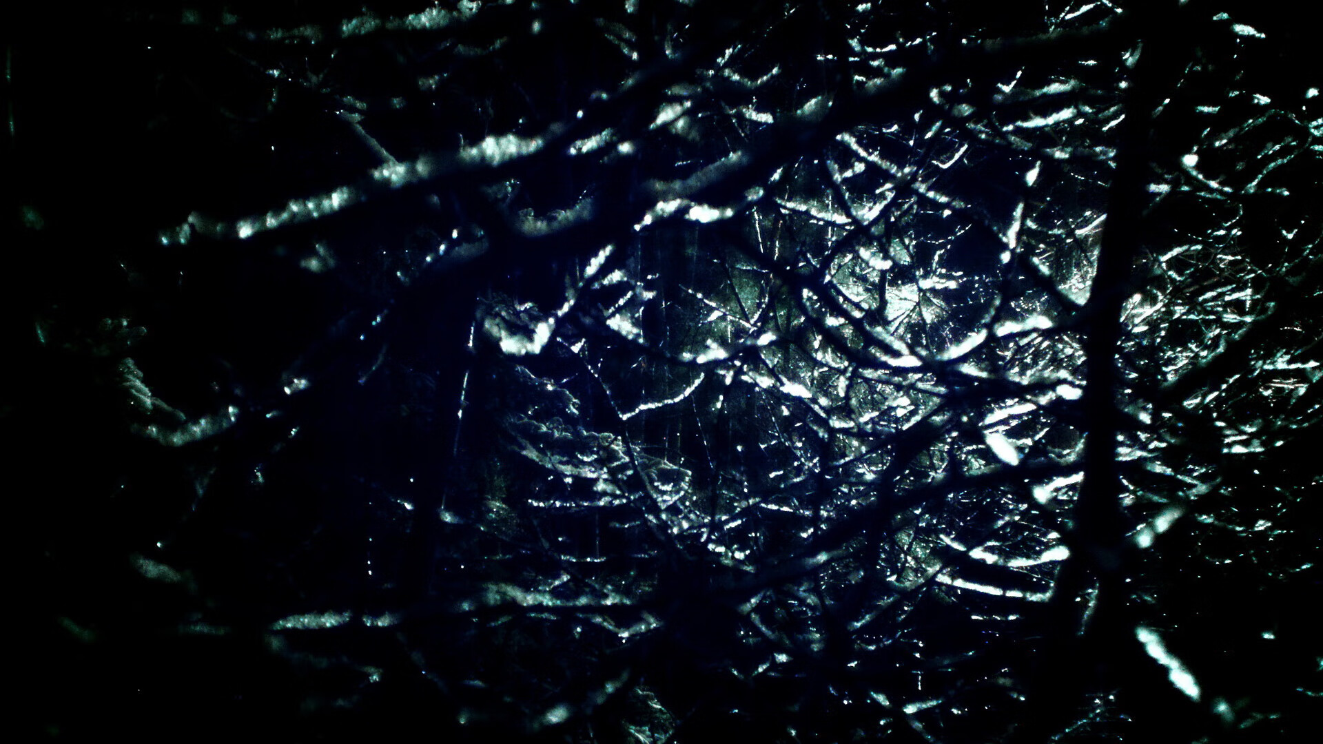 白色闪电的篮球华尔兹，爱德华兹如何以一己之力改写独行侠胜利方程式？