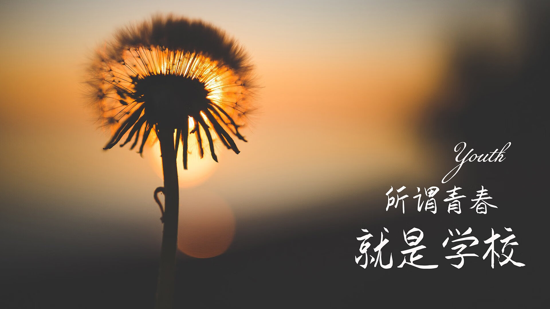 青锋淬火,裂鞘无声,奇才提前终结悬念的艺术