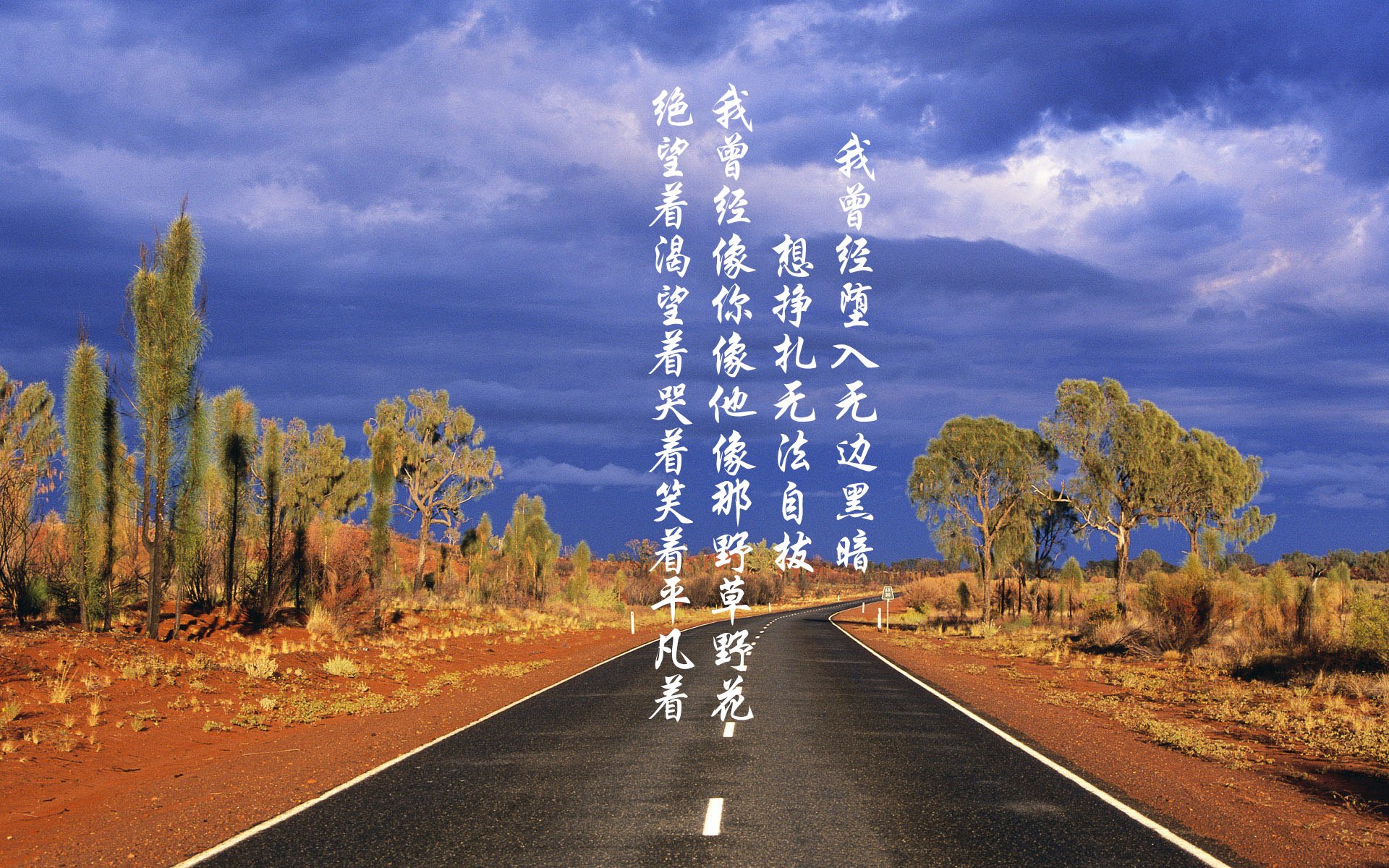 加勒比风暴下的沙漠折戟,当唯一性为一场比赛刻下永恒烙印—记2026世界杯半决赛哥斯达黎加横扫沙特